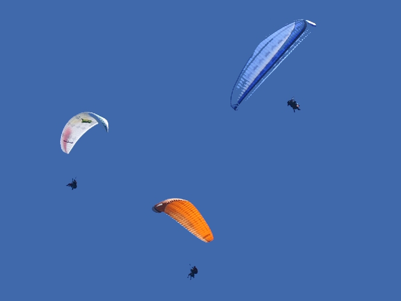 parasailing.jpg